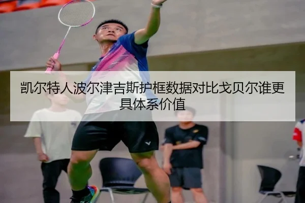 凯尔特人波尔津吉斯护框数据对比戈贝尔谁更具体系价值