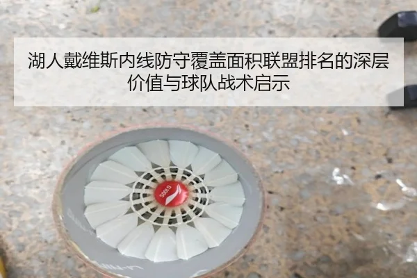 湖人戴维斯内线防守覆盖面积联盟排名的深层价值与球队战术启示